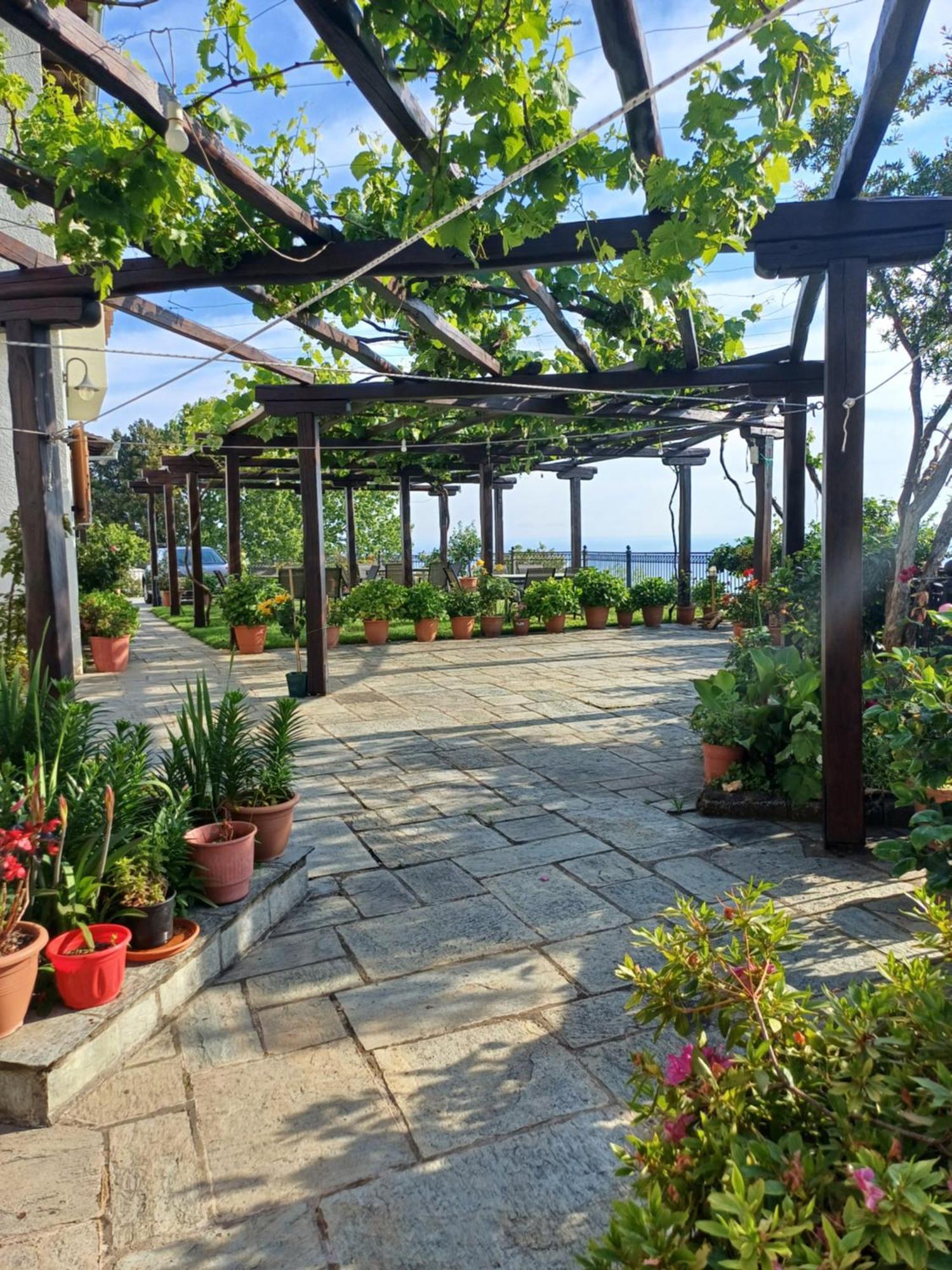 Olga Studios Tsagarada Exterior foto