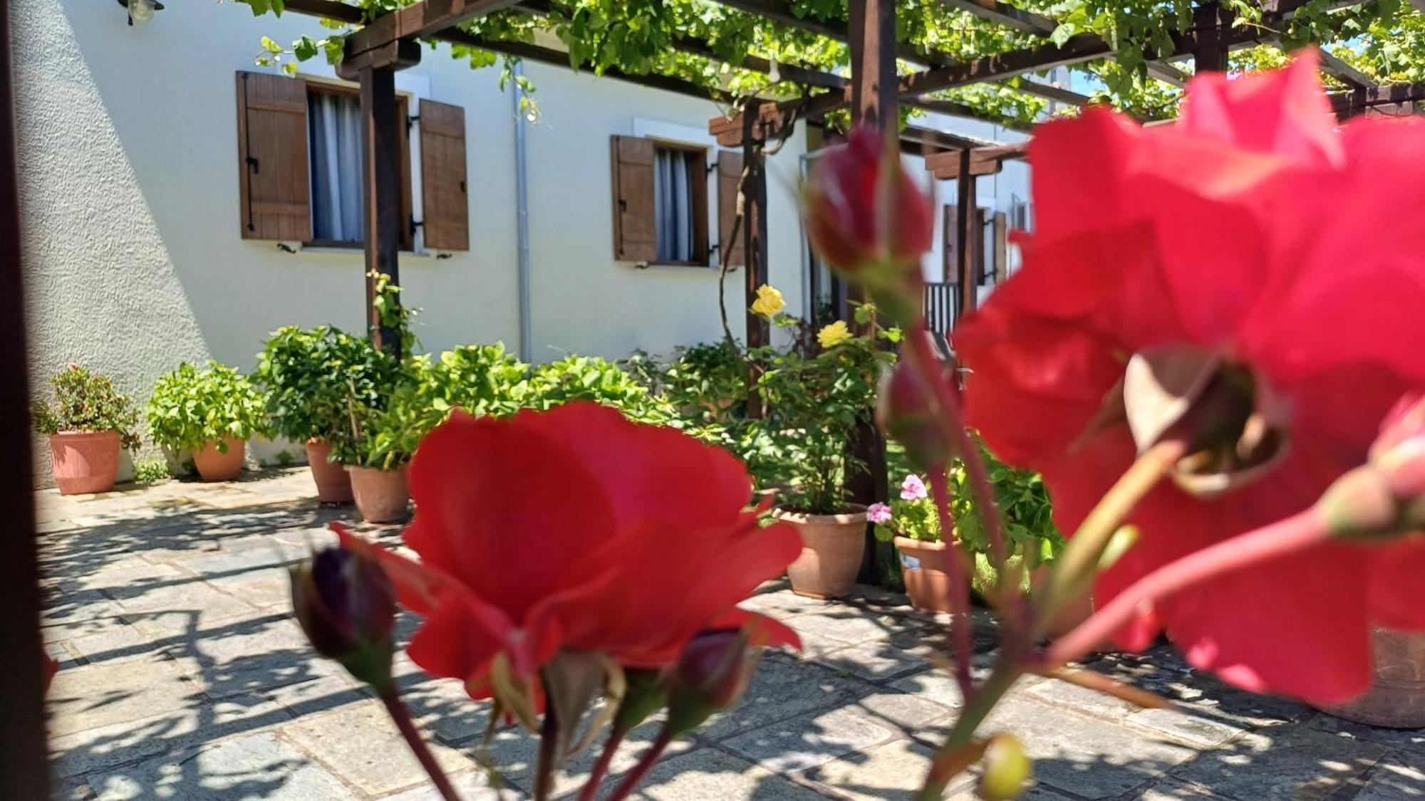 Olga Studios Tsagarada Exterior foto